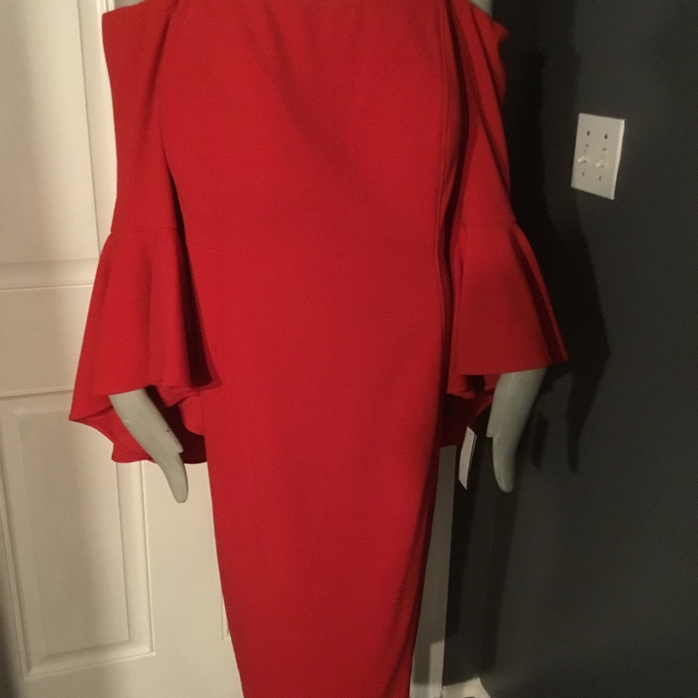 Plus Size Dress - Picture 5 of 8